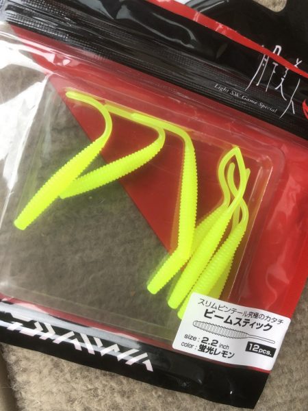 今年はキジハタ豊漁？